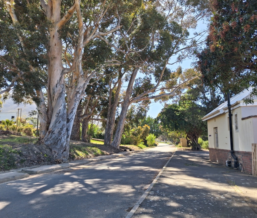 0 Bedroom Property for Sale in Bot River Avenues Western Cape